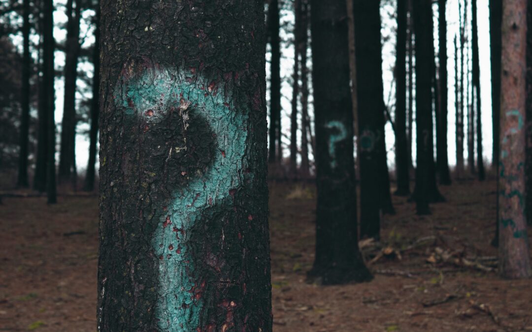 Les 5 questions qu’un leader devrait toujours poser