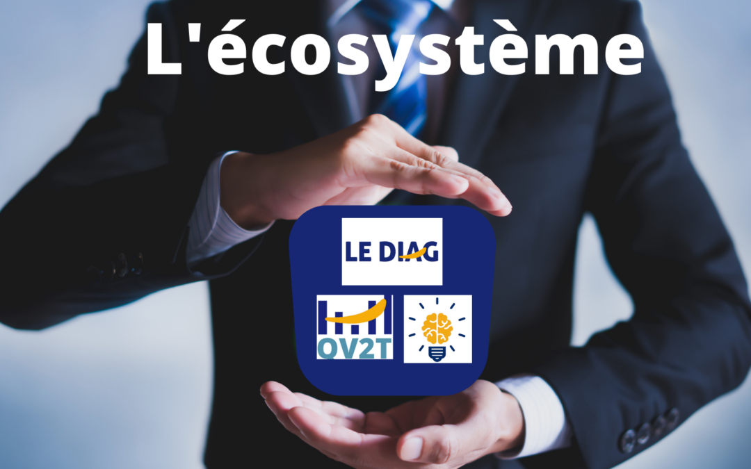 L&rsquo;écosystème