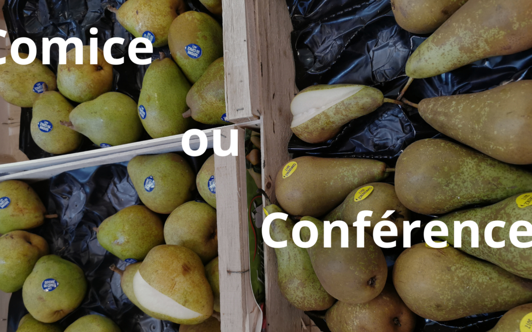Comice ou conférence ?