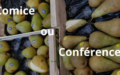 Comice ou conférence ?
