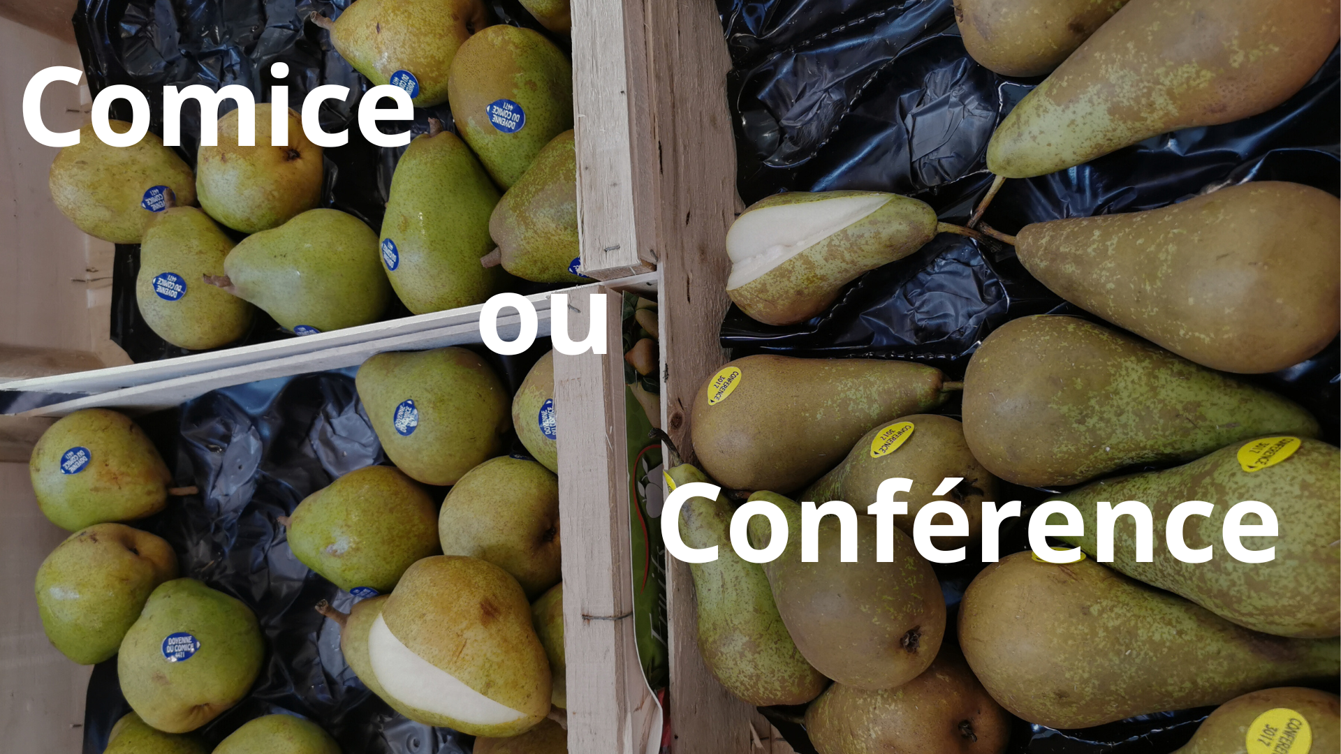 Comice ou conférence ?